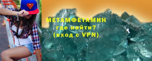 шишки Горняк