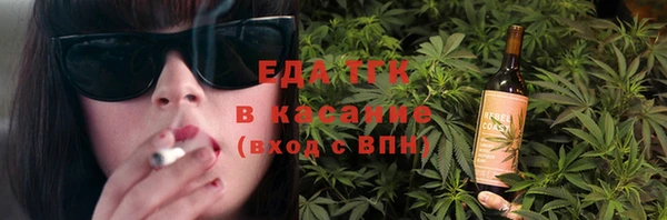 шишки Горняк