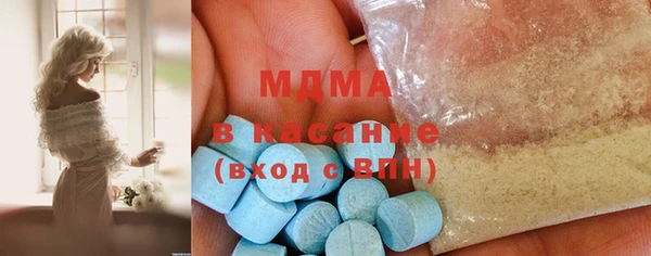 шишки Горняк