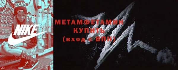 шишки Горняк