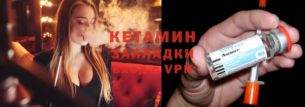 шишки Горняк