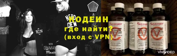 шишки Горняк