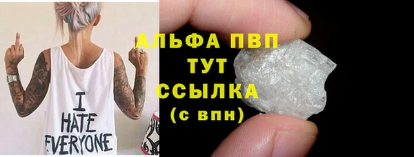 шишки Горняк