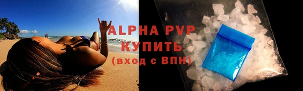 шишки Горняк