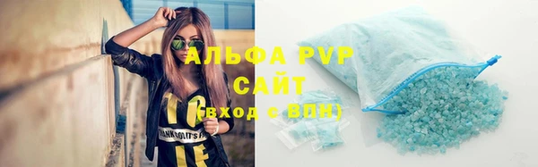 шишки Горняк