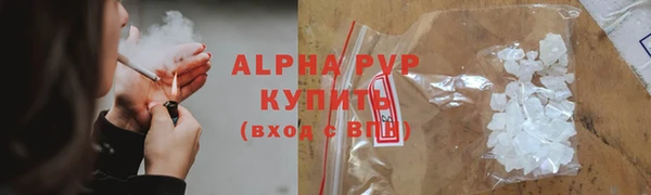 шишки Горняк