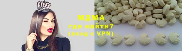 шишки Горняк