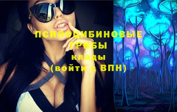 шишки Горняк