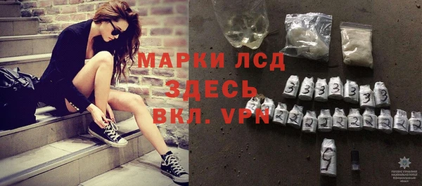 шишки Горняк