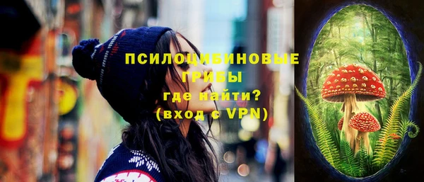 шишки Горняк