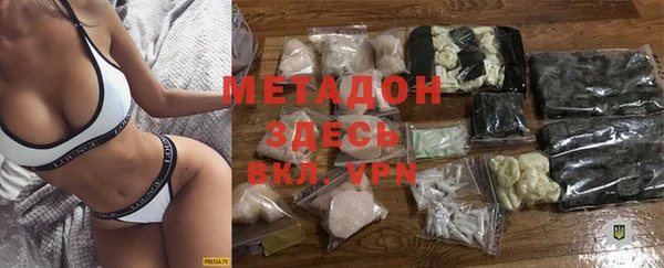 шишки Горняк