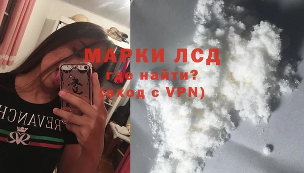 шишки Горняк