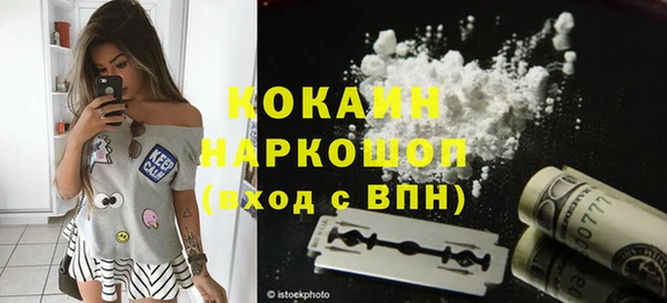 шишки Горняк